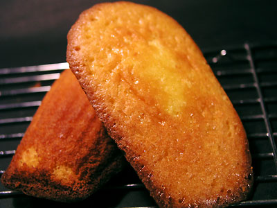 rakuten_sucre_madelaine2.jpg