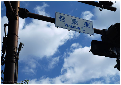 若葉東